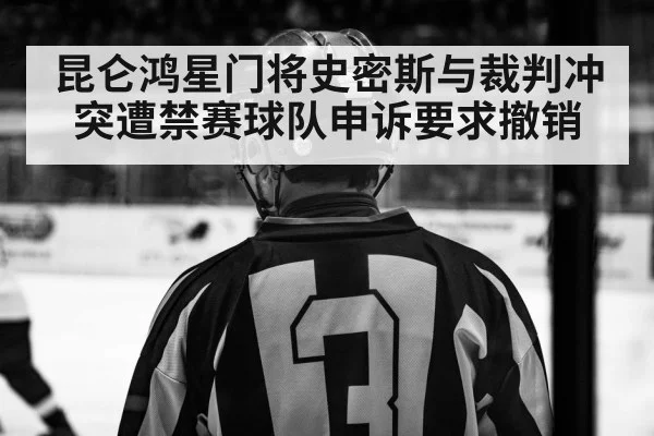 ice hockey referee