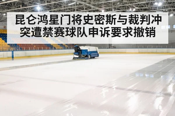 ice hockey arena