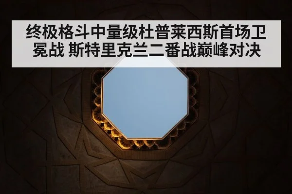 终极格斗中量级杜普莱西斯首场卫冕战 斯特里克兰二番战巅峰对决