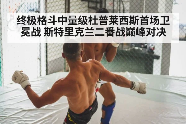 MMA fight