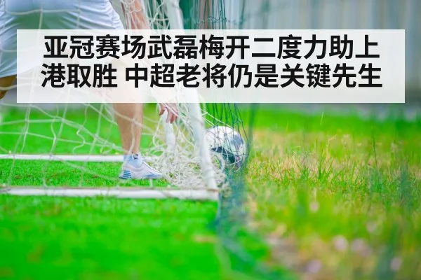亚冠赛场武磊梅开二度力助上港取胜 中超老将仍是关键先生